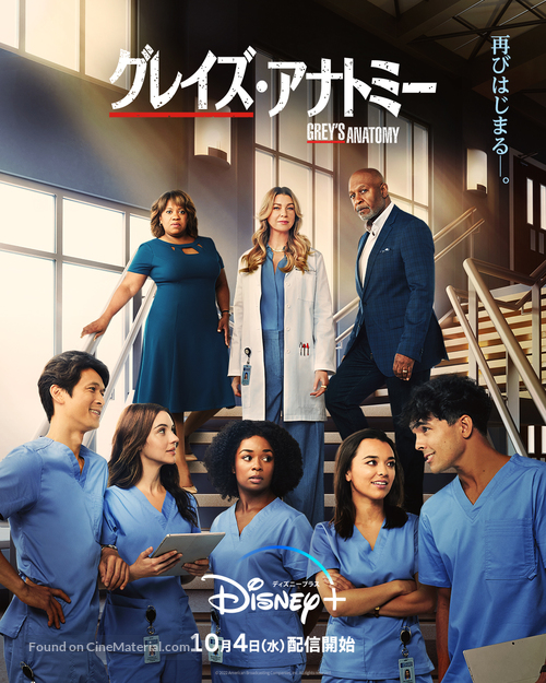 &quot;Grey&#039;s Anatomy&quot; - Japanese Movie Poster