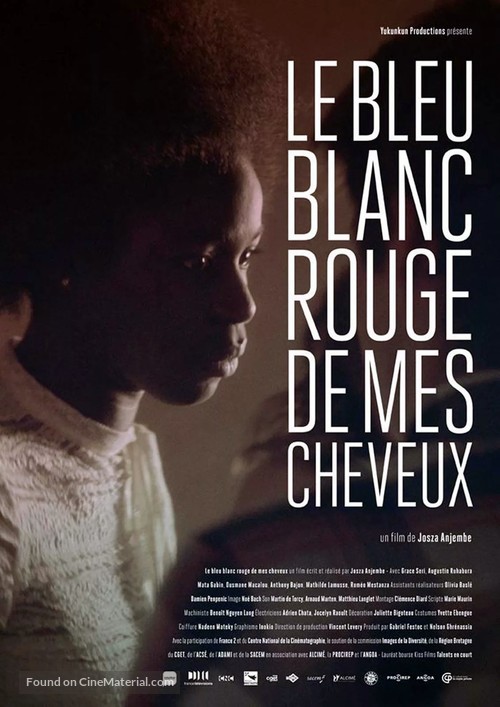 Le bleu blanc rouge de mes cheveux - French Movie Poster