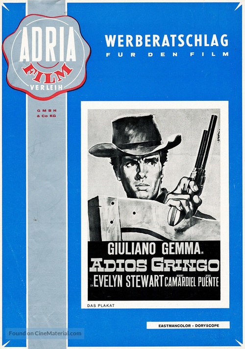 Adi&oacute;s gringo - German poster