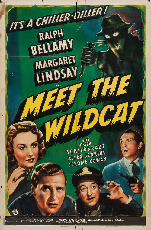 Meet the Wildcat - Movie Poster