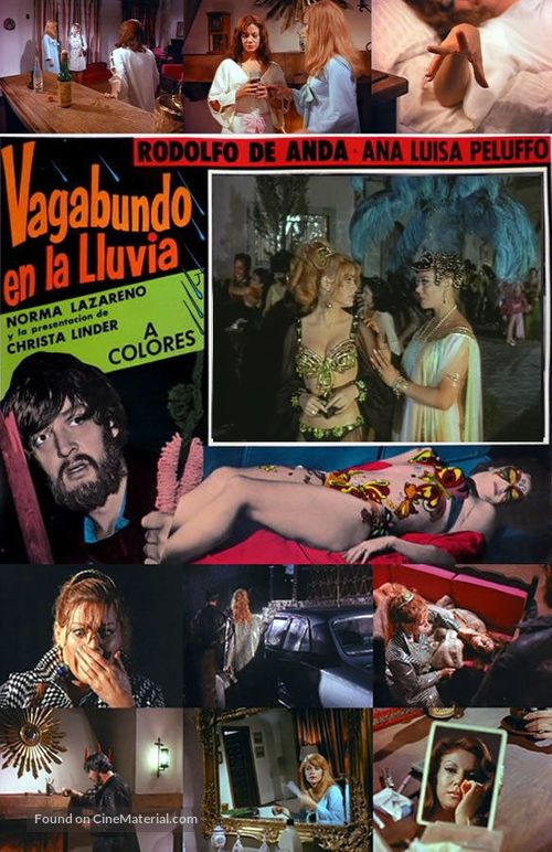 Vagabundo en la lluvia - Mexican Movie Poster