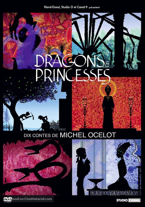 &quot;Dragons et princesses&quot; - French DVD movie cover