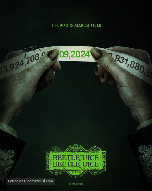 Beetlejuice Beetlejuice - Irish Movie Poster