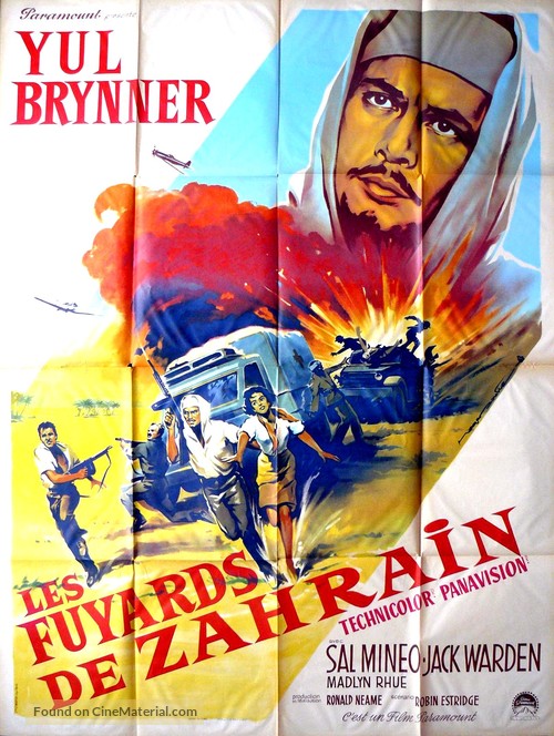 Escape from Zahrain - French Movie Poster
