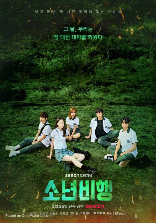 &quot;Juvenile Delinquency&quot; - South Korean Movie Poster