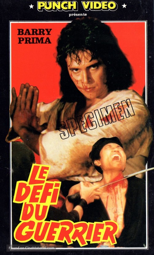 Jaka Sembung &amp; Bergola Ijo - French VHS movie cover