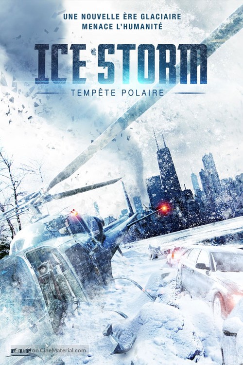 Ice Storm - French DVD movie cover