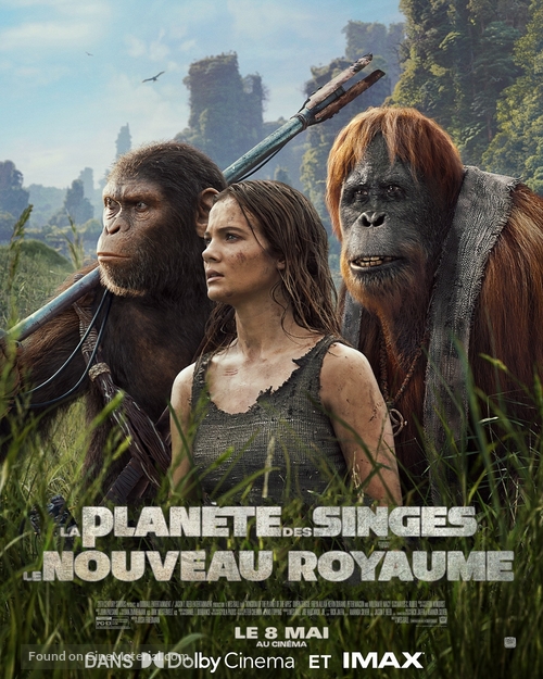 Kingdom of the Planet of the Apes - French Movie Poster