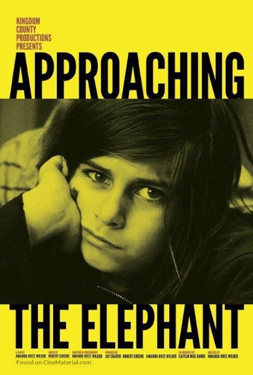 Approaching the Elephant - DVD movie cover