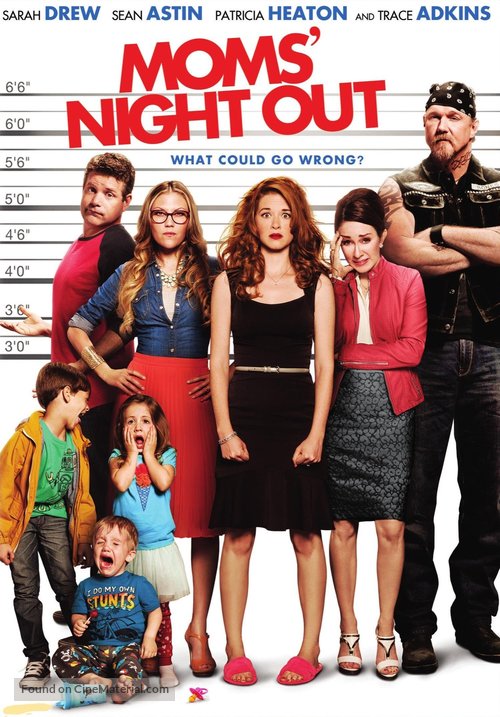 Moms&#039; Night Out - DVD movie cover