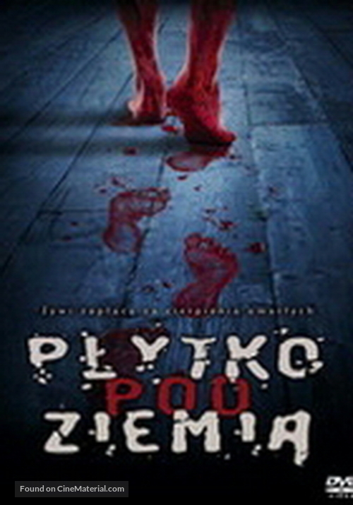 Shallow Ground - Polish DVD movie cover