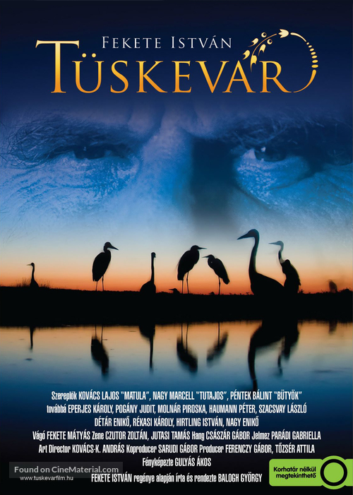 T&uuml;skev&aacute;r - Hungarian Movie Poster