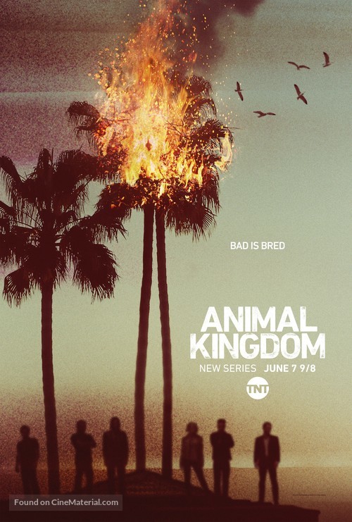 &quot;Animal Kingdom&quot; - Movie Poster