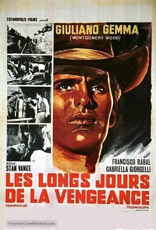 I lunghi giorni della vendetta - French Movie Poster