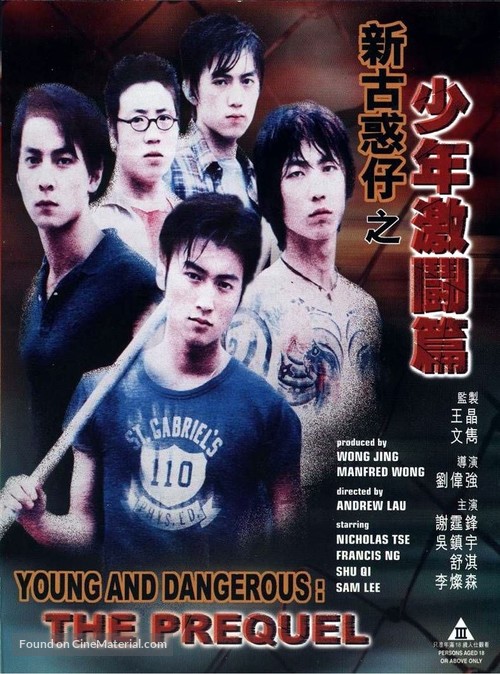 Young And Dangerous The Prequel - Hong Kong Movie Poster