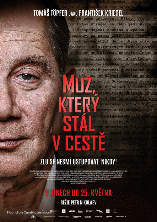 Muz, kter&yacute; st&aacute;l v ceste - Czech Movie Poster
