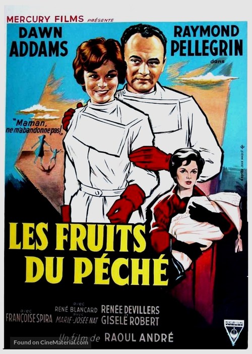 Secret professionnel - Belgian Movie Poster