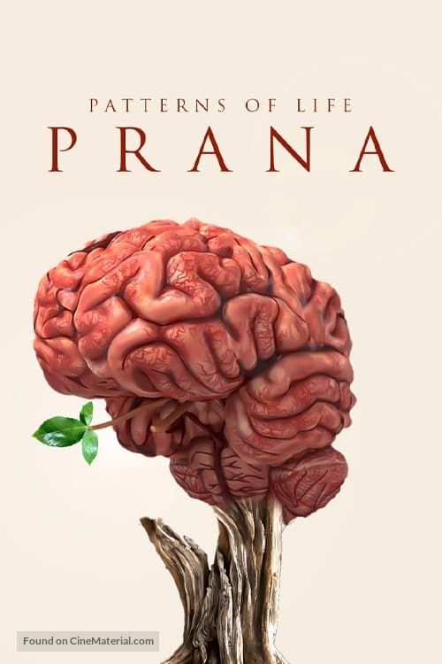 Patterns of life: Prana - International Movie Poster