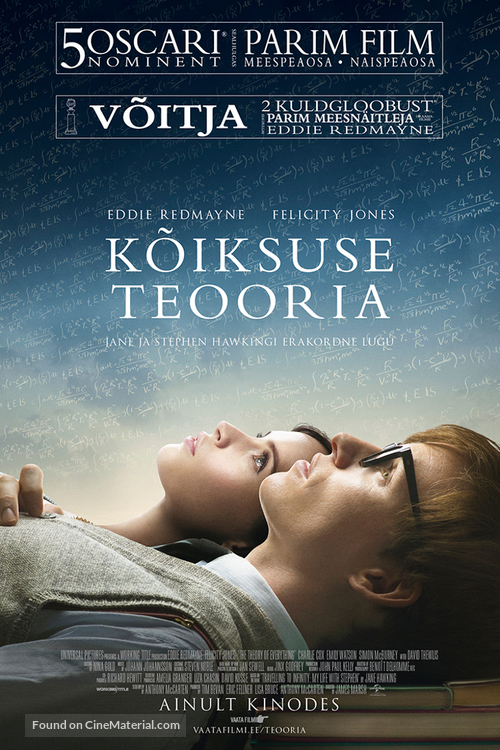 The Theory of Everything - Estonian Movie Poster