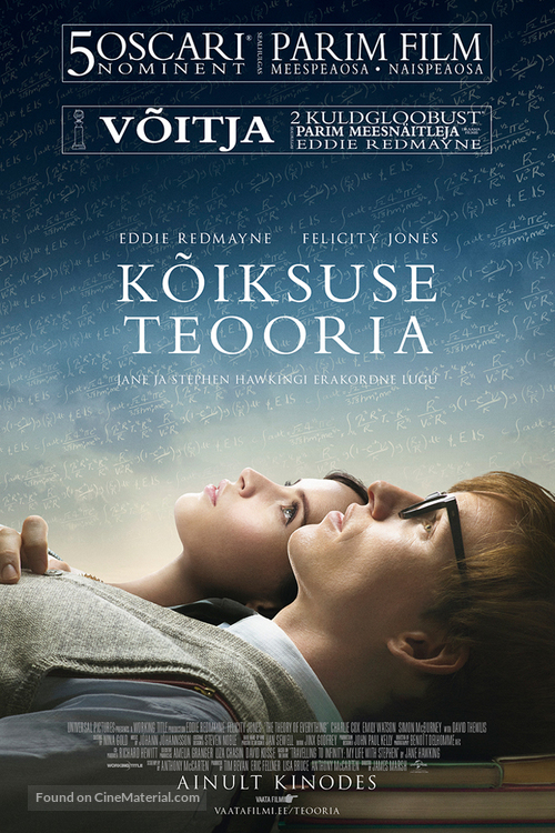 The Theory of Everything - Estonian Movie Poster