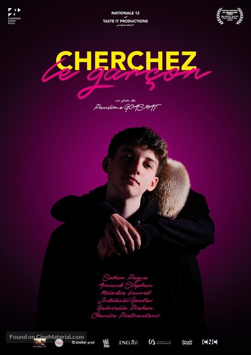 Cherchez le Gar&ccedil;on - French Movie Poster