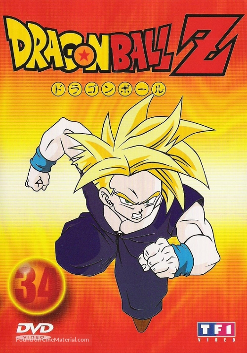 &quot;Dragon Ball Z&quot; - French DVD movie cover