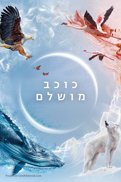 &quot;A Perfect Planet&quot; - Israeli Movie Cover