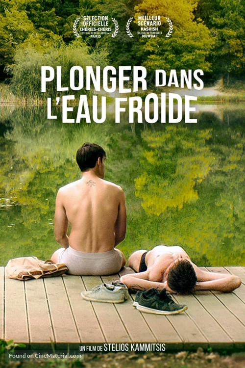 The Man with the Answers - French DVD movie cover