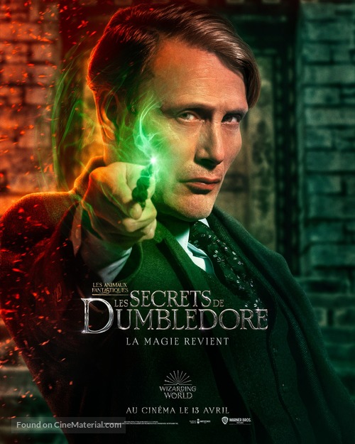 Fantastic Beasts: The Secrets of Dumbledore - French Movie Poster