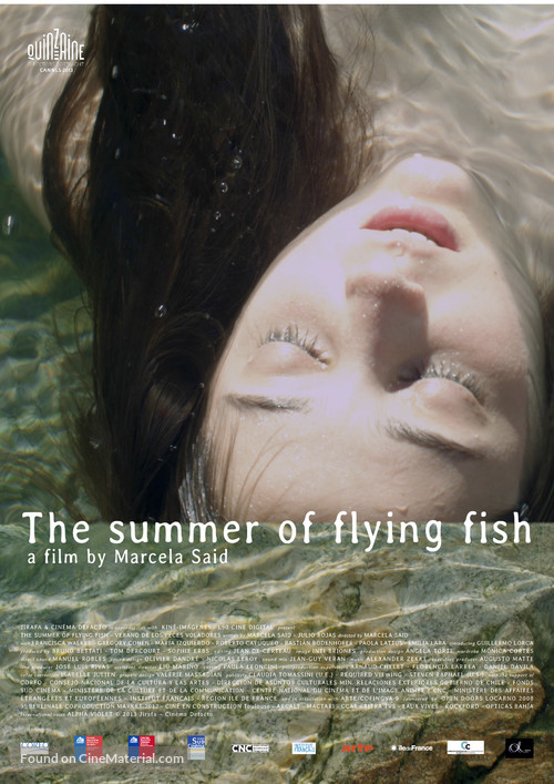 El verano de los peces voladores - Chilean Movie Poster