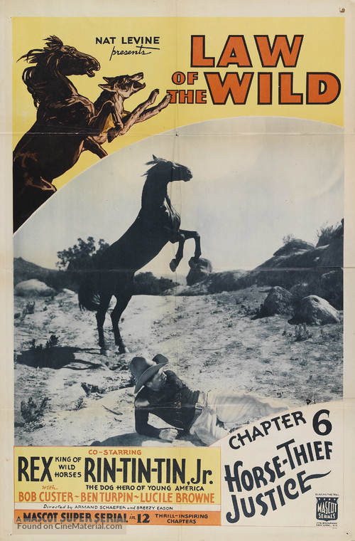 Law of the Wild - Movie Poster