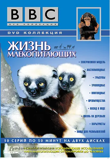 "The Life of Mammals" (2002) Russian dvd movie cover