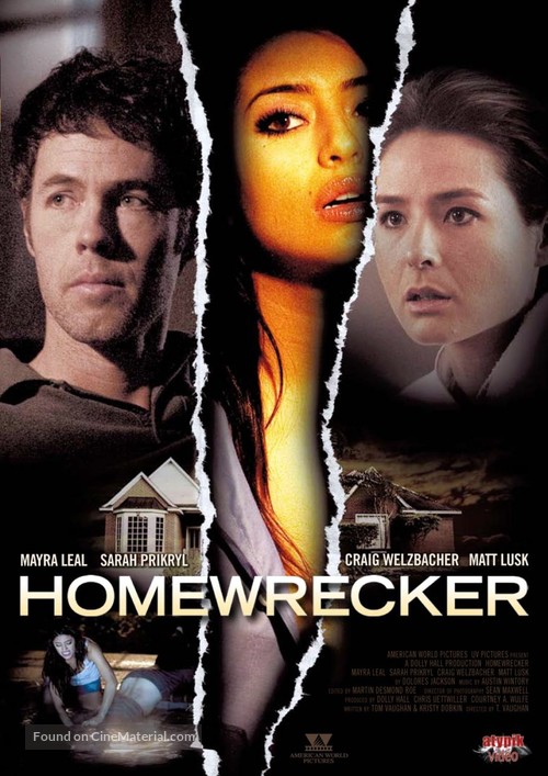 Playing House - French DVD movie cover