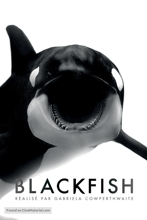 Blackfish - French Movie Poster
