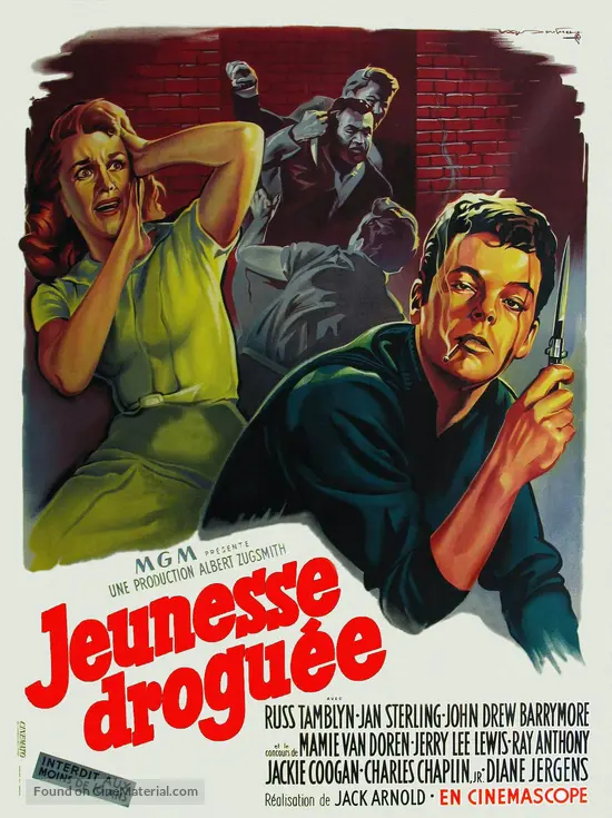 High School Confidential! - French Movie Poster