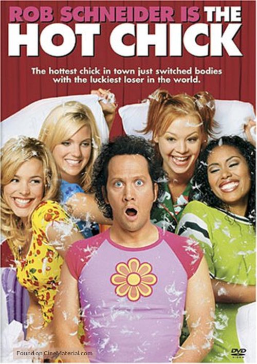 The Hot Chick - DVD movie cover