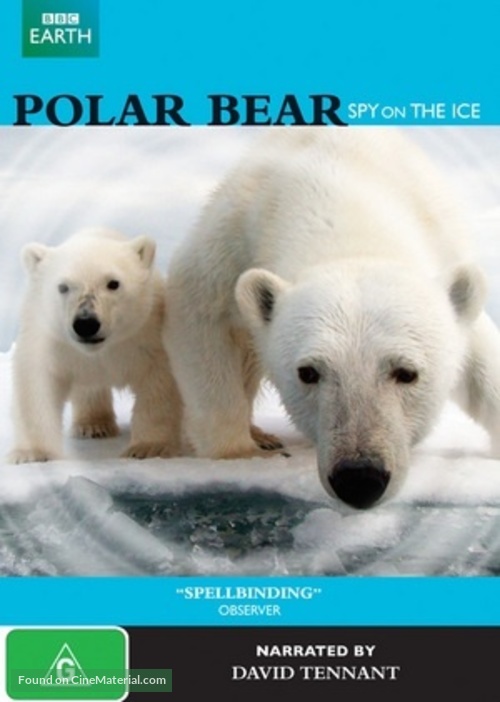 Polar Bears: Spy on the Ice - Australian DVD movie cover