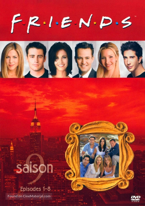 &quot;Friends&quot; - French DVD movie cover