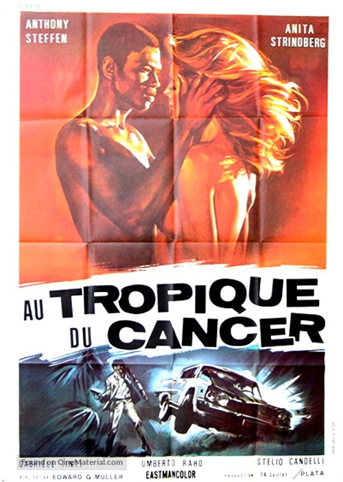 Al tropico del cancro - French Movie Poster