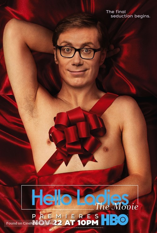 Hello Ladies: The Movie - Movie Poster
