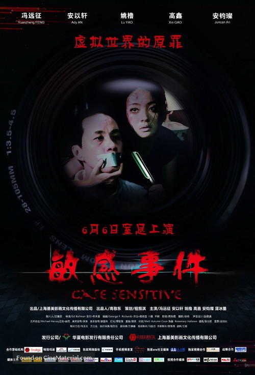 Case Sensitive - Chinese Movie Poster