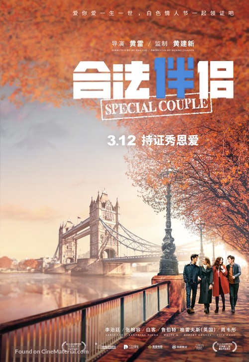 Special Couple - Chinese Movie Poster