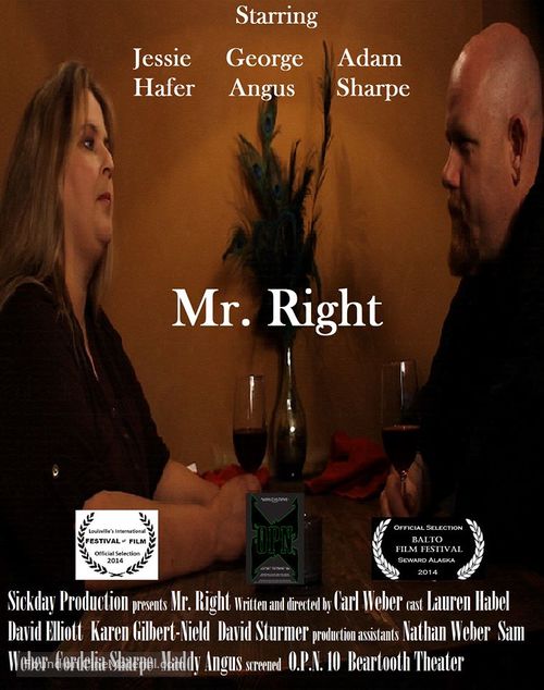 Mr. Right - Movie Poster