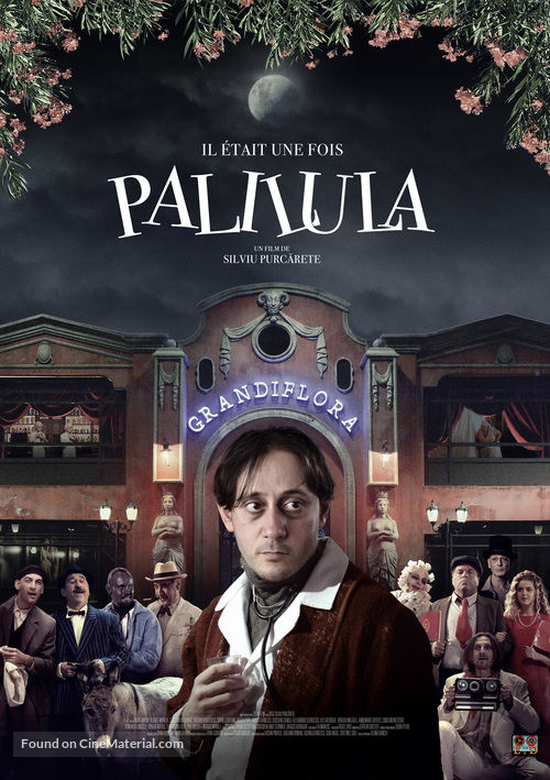 Undeva la Palilula - French Movie Poster