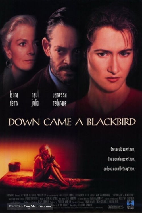 Down Came a Blackbird - Movie Poster
