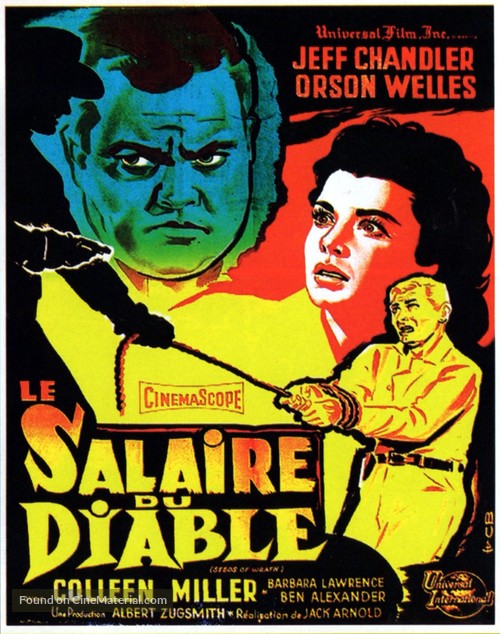 Man in the Shadow - French Movie Poster