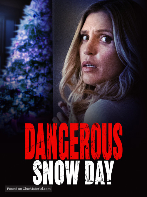 Dangerous Snow Day - poster