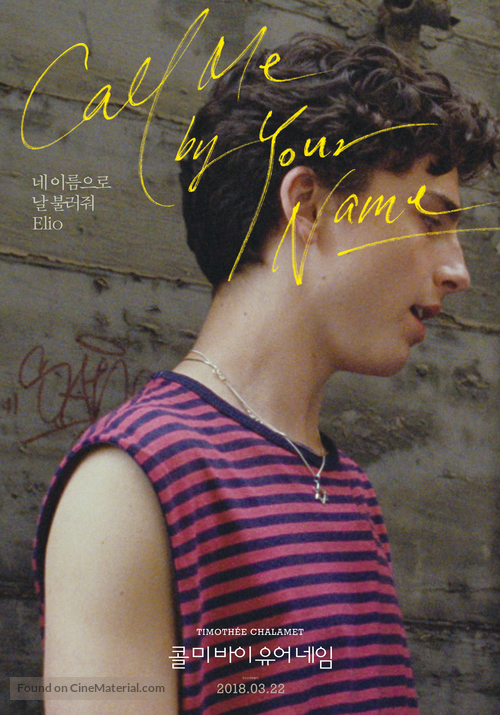 Call Me by Your Name - South Korean Movie Poster