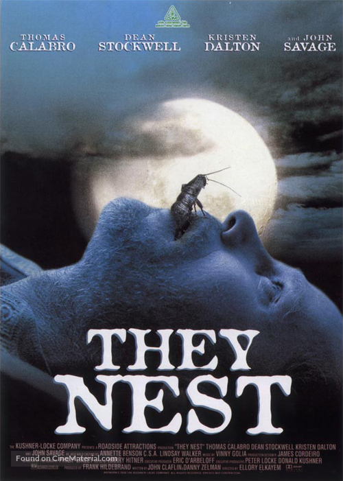 They Nest - Thai DVD movie cover