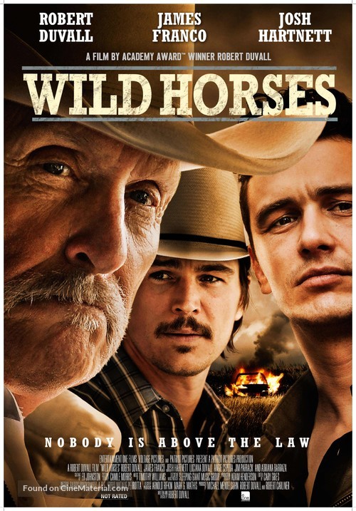 Wild Horses - Movie Poster